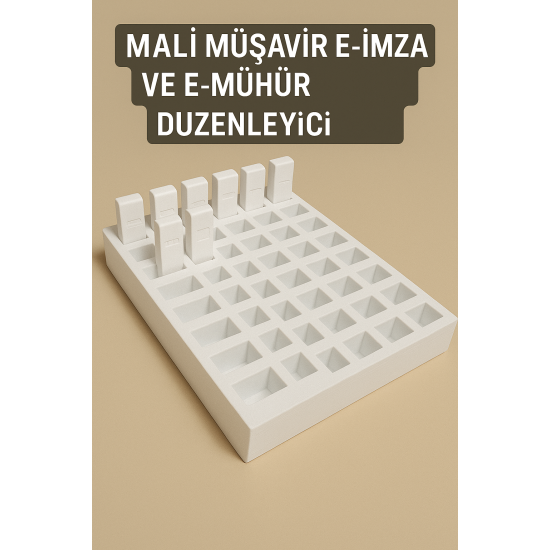 Mali Müşavir E-Imza ve E-Mühür Düzenleyici (56 GÖZLÜ)